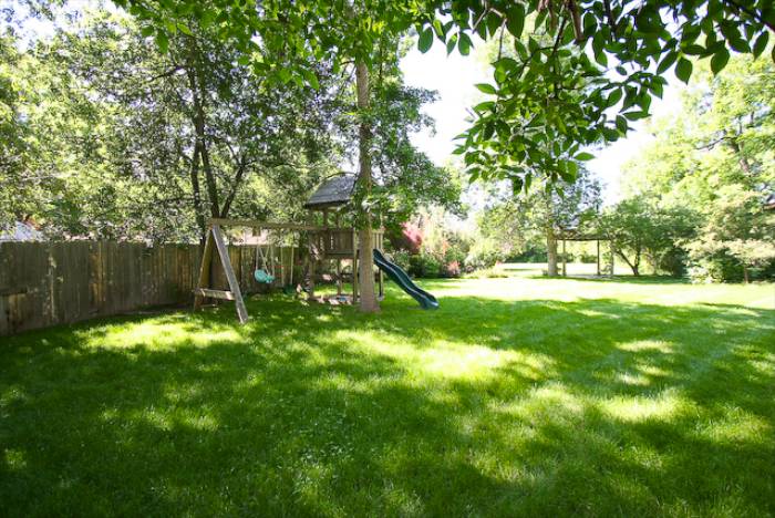 Juniper-backyard